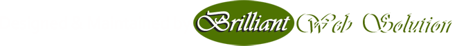 Brilliant web solution